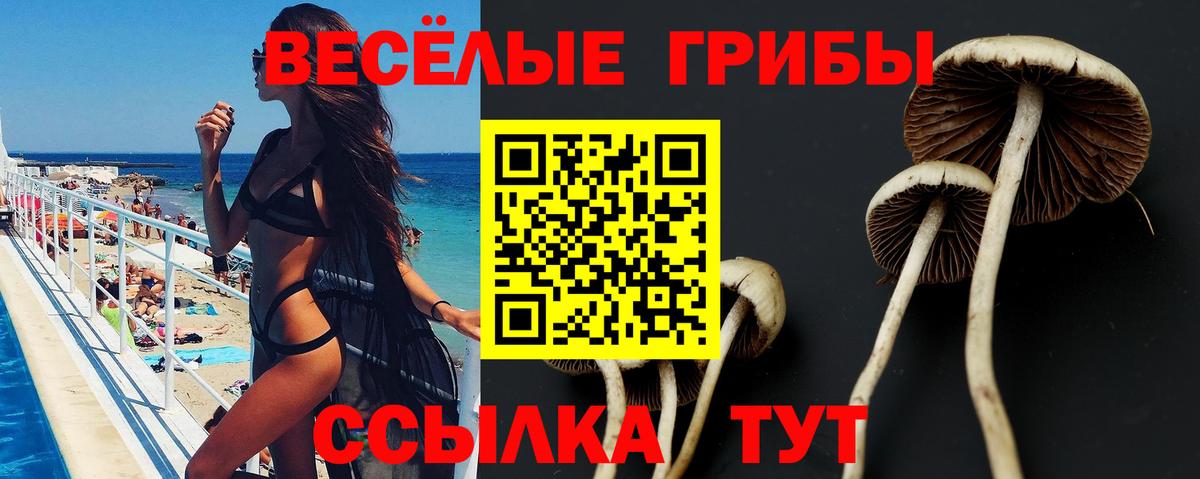 Псилоцибиновые грибы ЛСД  Вход с VPN  Югорск 